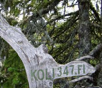 Koli 347